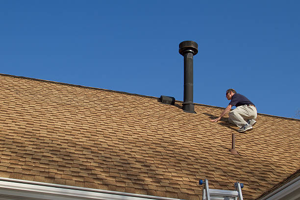 Best Roof Moss and Algae Removal  in Silver Lake, NC